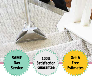 Carpet Steam Cleaning