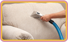 Upholstery Steam Cleaning